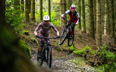 Ribbesford bike hotsell park